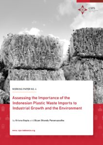 Assessing the Importance of the Indonesian Plastic Waste Imports to Industrial Growth and the Environment