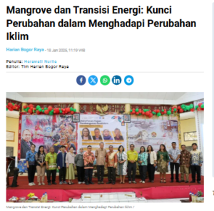 Mangrove dan Transisi Energi: Kunci Perubahan dalam Menghadapi Perubahan Iklim 