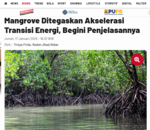 Mangrove Ditegaskan Akselerasi Transisi Energi, Begini Penjelasannya 