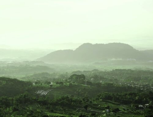 Thursday, 9 January 2025. The role of social capital in climate change mitigation: a case study of agricultural sector in Ambarawa, Central Java