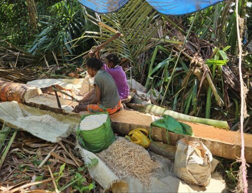 2025 FKP Roadshow. Addressing climate change: national and Papua perspectives